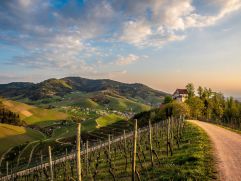 Solarzellen mit integriertem Energiespeicher